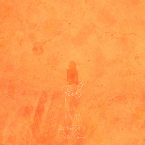 Feel (Explicit)