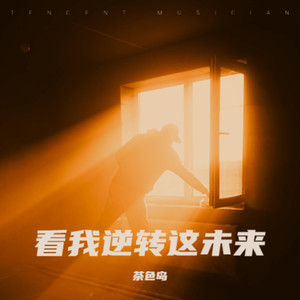 看我逆转这未来