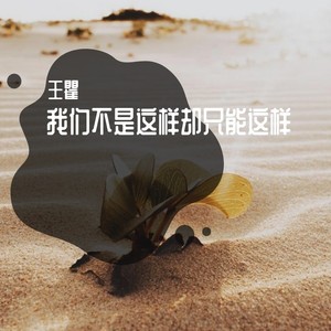 我们不是这样却只能这样 (伴奏)