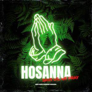 Hosanna "LIVE" (feat. Lindi Delport) [Live]