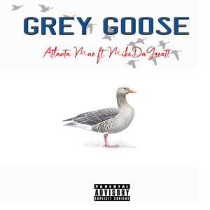 Grey Goose (feat. Mikedagreatt) [Explicit]