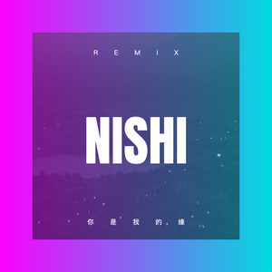 天上掉下个林妹妹 (DJ版)