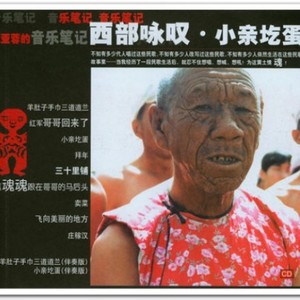 羊肚肚手巾三道道蓝 (Single Version)