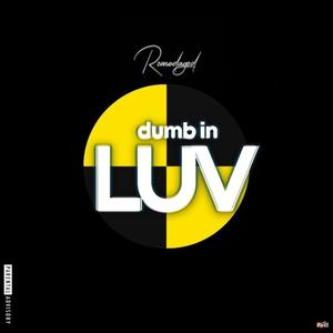 Dumb In Luv (Explicit)