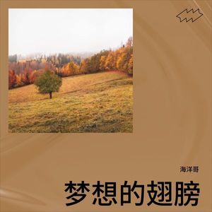 海洋哥 - 梦想的翅膀