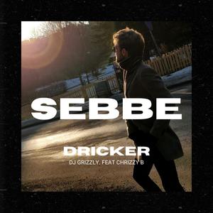 Sebbe Dricker (feat. Chrizzy B) [Explicit]