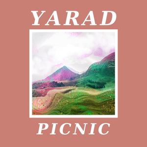 Picnic (Explicit)