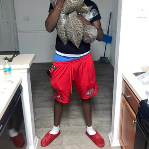 Poppin doors n pushn breaks (Explicit)