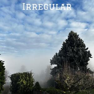 Irregular (feat. Ivandbeats & VVSMelody) [Explicit]