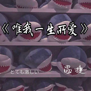 唯我一生所爱
