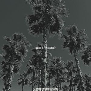 从容的学习周围环境