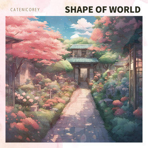 Shape of World