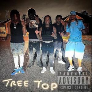 Tree Top (feat. Mahdi llou & King $imba) [Explicit]