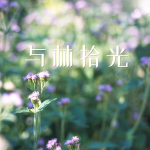 与林拾光
