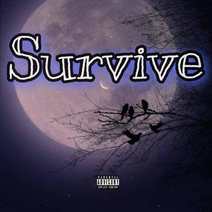 Survive (feat. Jacob Vallen & The Golden Gun) [Explicit]