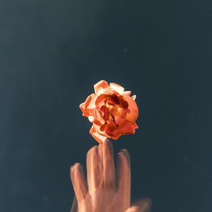 找不回的八音盒