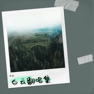 婆婆丁 蒲公英