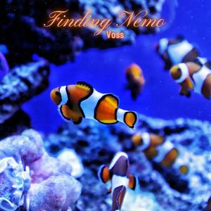 Finding Nemo (Explicit)