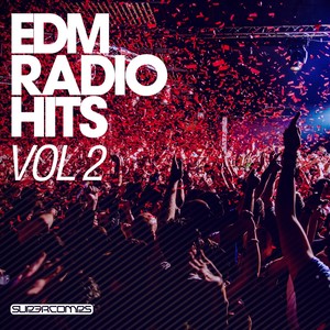 EDM Radio Hits, Vol 2