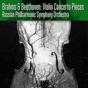 Brahms & Beethoven: Violin Concerto Pieces