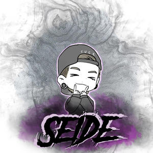 Seide Project (Explicit)