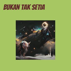 Bukan Tak setia