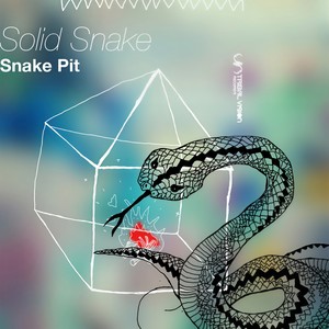 Reflections (Solid Snake 2001 Malmoeswinger Remix)