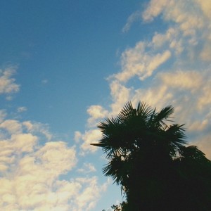 Kyte Vision - 20年後には (Explicit)