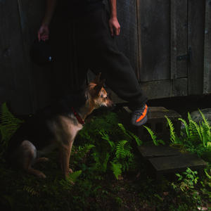 POP YOU (feat. yuke & Kid Moon) (Explicit)