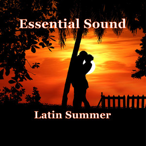 Essential Sound Latin Summer