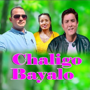 Chaligo Bayalo