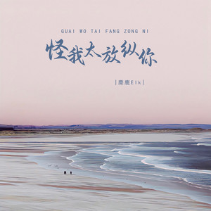 怪我太放纵你 (DJ版)