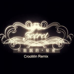 Secret(CrooMin Remix)