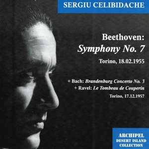 Ludwig Van Beethoven - Symphony No. 7 in A major, Op. 92 : Alegretto