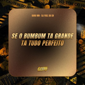 SE O BUM BUM TA GRANDE TA TUDO PERFEITO