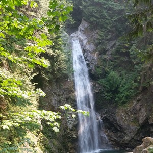 And I Will Praise You(feat. Andrew Millar)