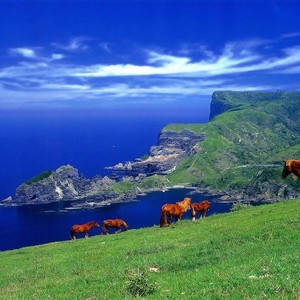 时刻在想你 (Live)