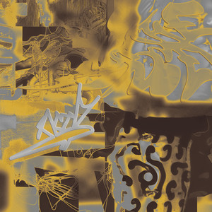 Not the Singer - Cryin'