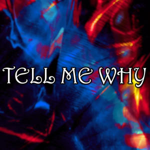 Tell Me Why (feat. ZodiacTheRapper) [Explicit]