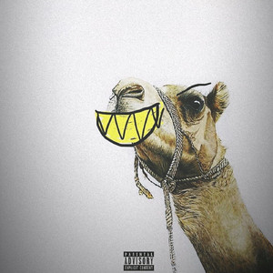 Technique (Explicit)