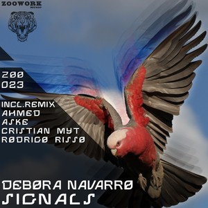 Signals (Rodrigo Risso Remix)