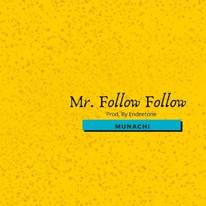 Mr. Follow Follow