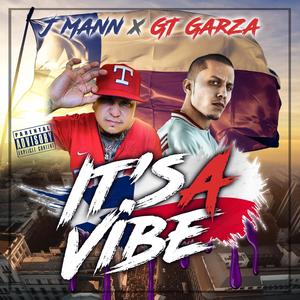 It's a Vibe (feat. GT Garza)