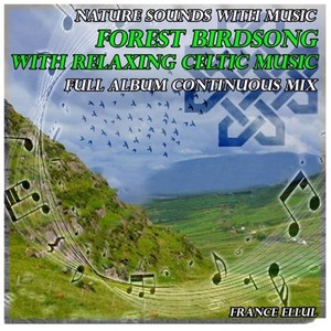 Nature Sounds with Music: Forest Birdsong with Relaxing Celtic Music