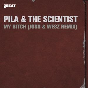 My ***** (Josh & Wesz Remix) [Explicit]