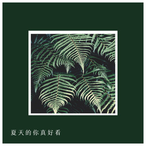 雪化的北极封面