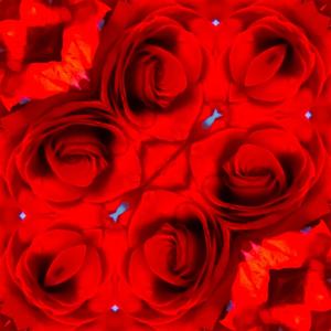 Decisions (Explicit)