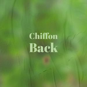 Chiffon Back