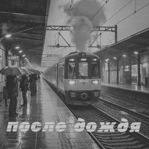 После дождя