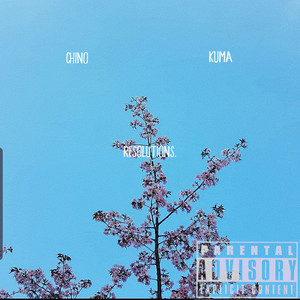 Resolutions (Explicit)